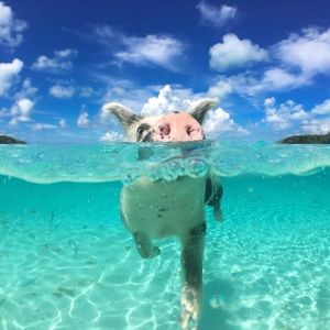 Meet your Posher, Taryn